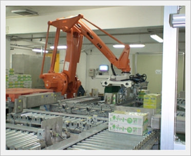 Packaging and Robot Palletizer  Made in Korea
